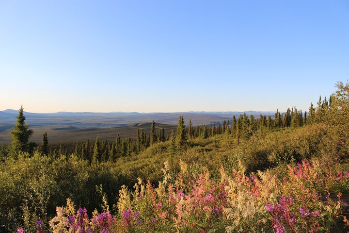 Alaska Reise - Eagle Plains, Dempster Highway