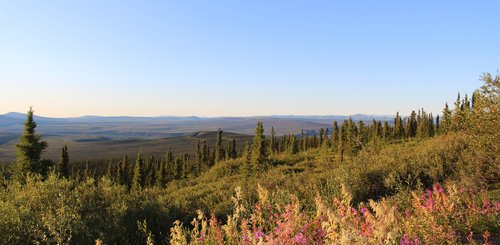 Alaska Reise - Eagle Plains, Dempster Highway