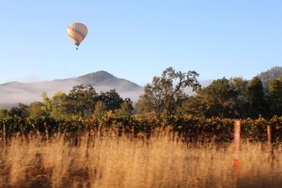 USA Reise - Napa Valley