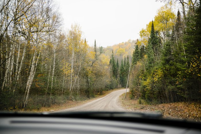 Kanada Reise - Autofahrt im Algonquin Provincial Park