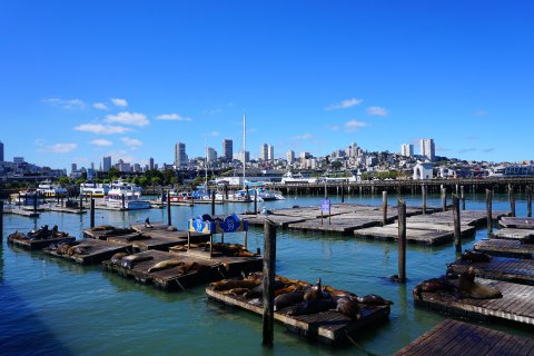 USA Reise - Pier 39, San Francisco