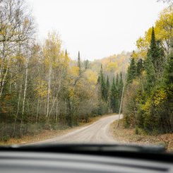 Kanada Reise - Autofahrt im Algonquin Provincial Park