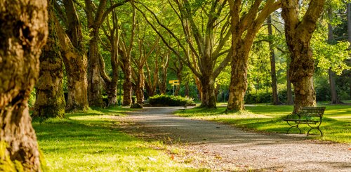 Kanada Reise - Stanley Park, Vancouver