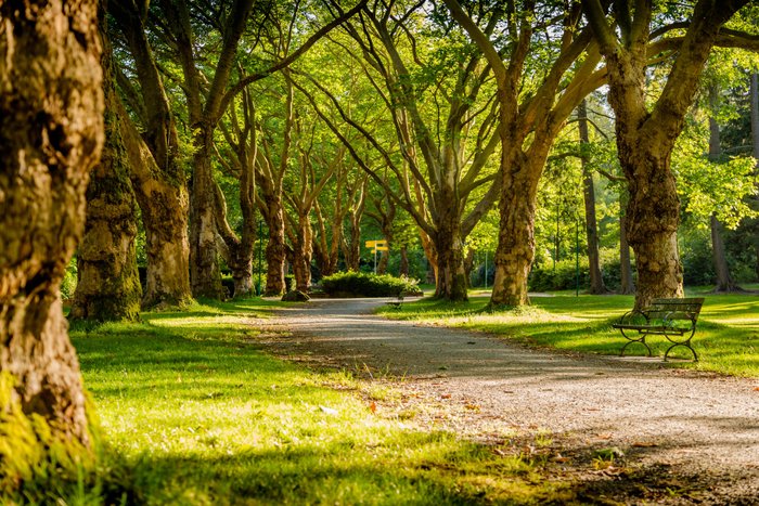 Kanada Reise - Stanley Park, Vancouver