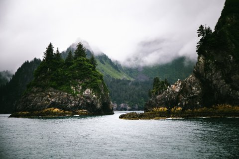 Alaska Reise - Kenai Fjords