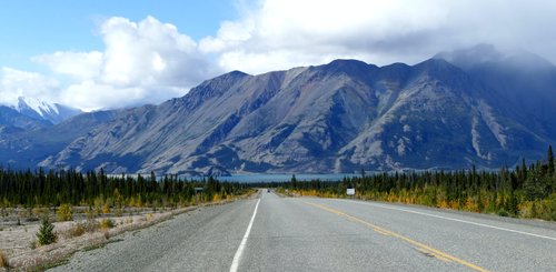 Kanada Reise - Kluane NP