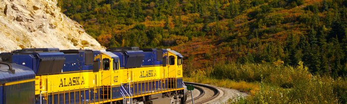 Alaska Reise - Alaska Railroad im Denali NP 