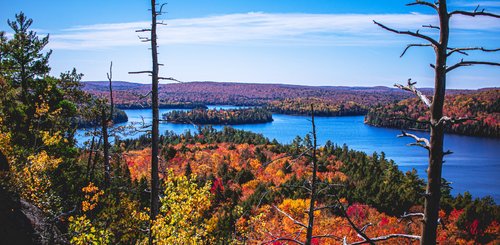 Kanada Reise - Algonquin Park