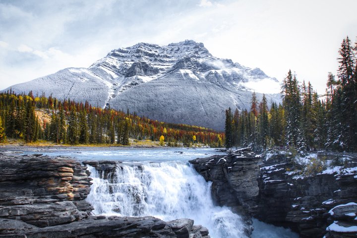 Kanada Reise - Athabasca Fälle, Japser